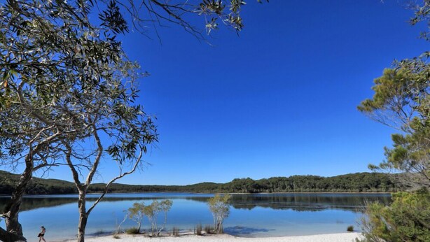 A beach with clear water, trees, and a distant shoreline. - The Eco Beachcamp Retreat (Eurong)