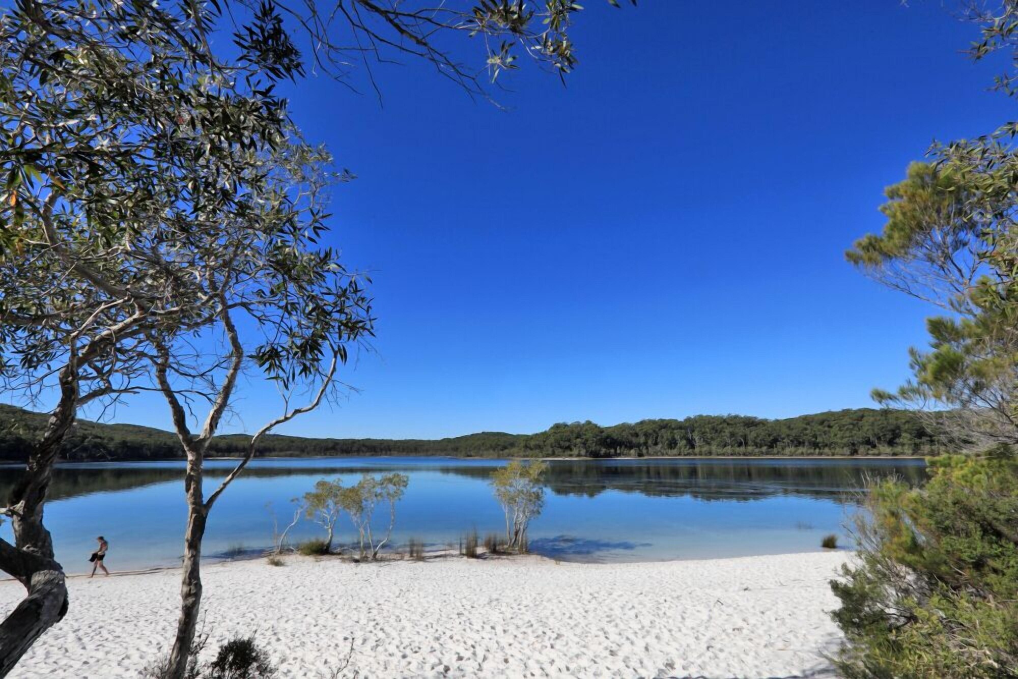 فنادق بتصنيف نجوم (2)