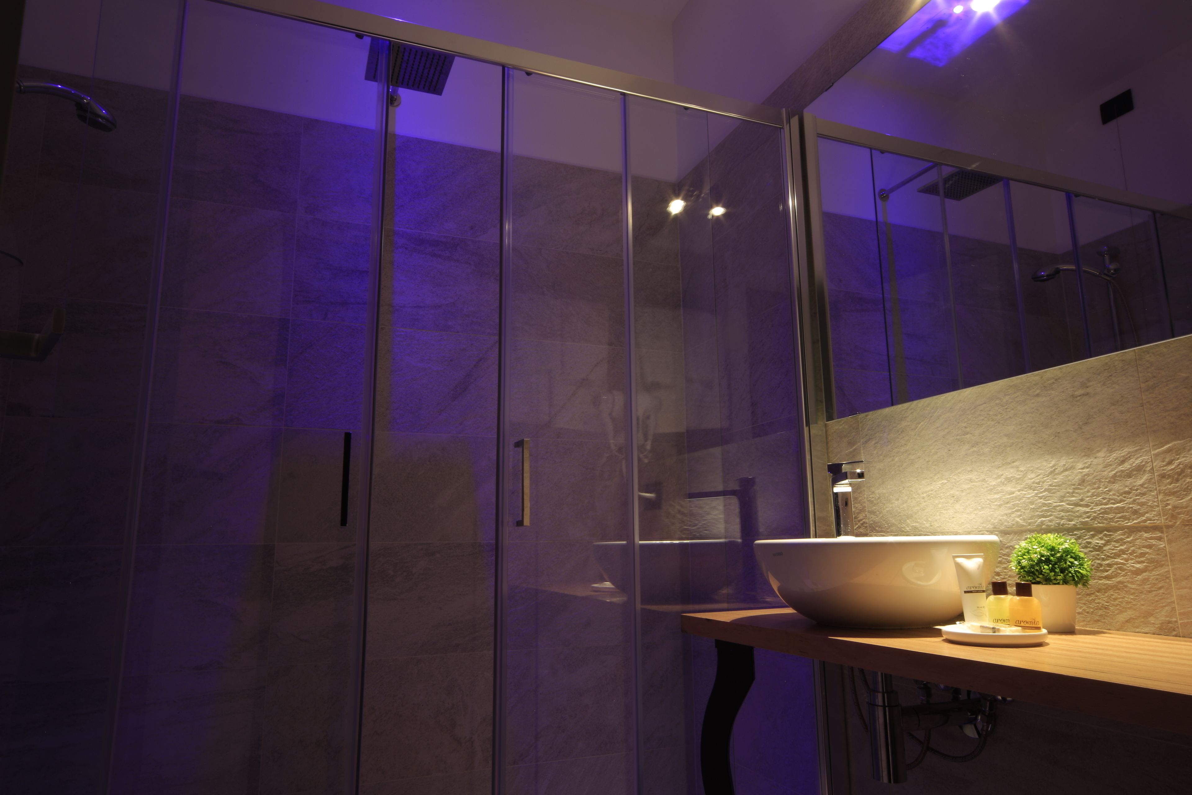 Une salle de bain moderne avec une douche à parois de verre, un grand lavabo sur pied et une petite plante en pot posée sur le meuble-lavabo.