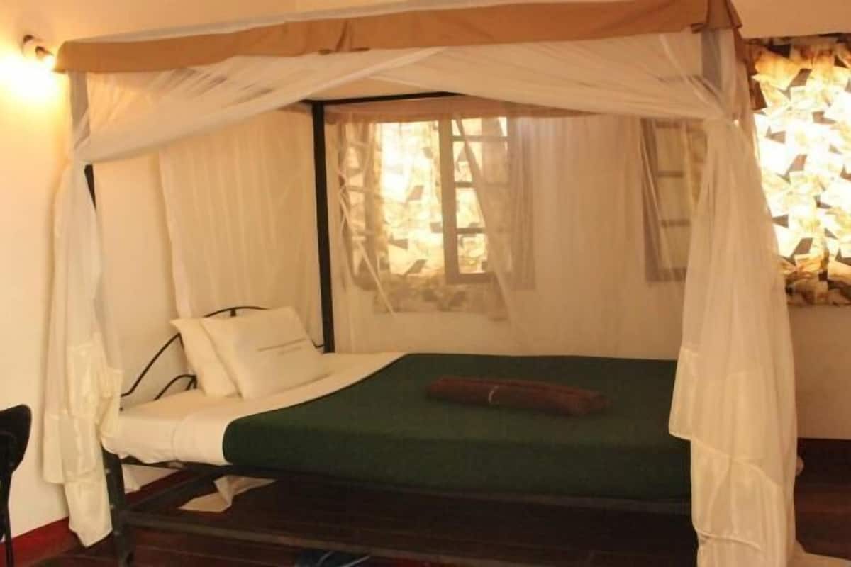 Desk, free WiFi, bed sheets