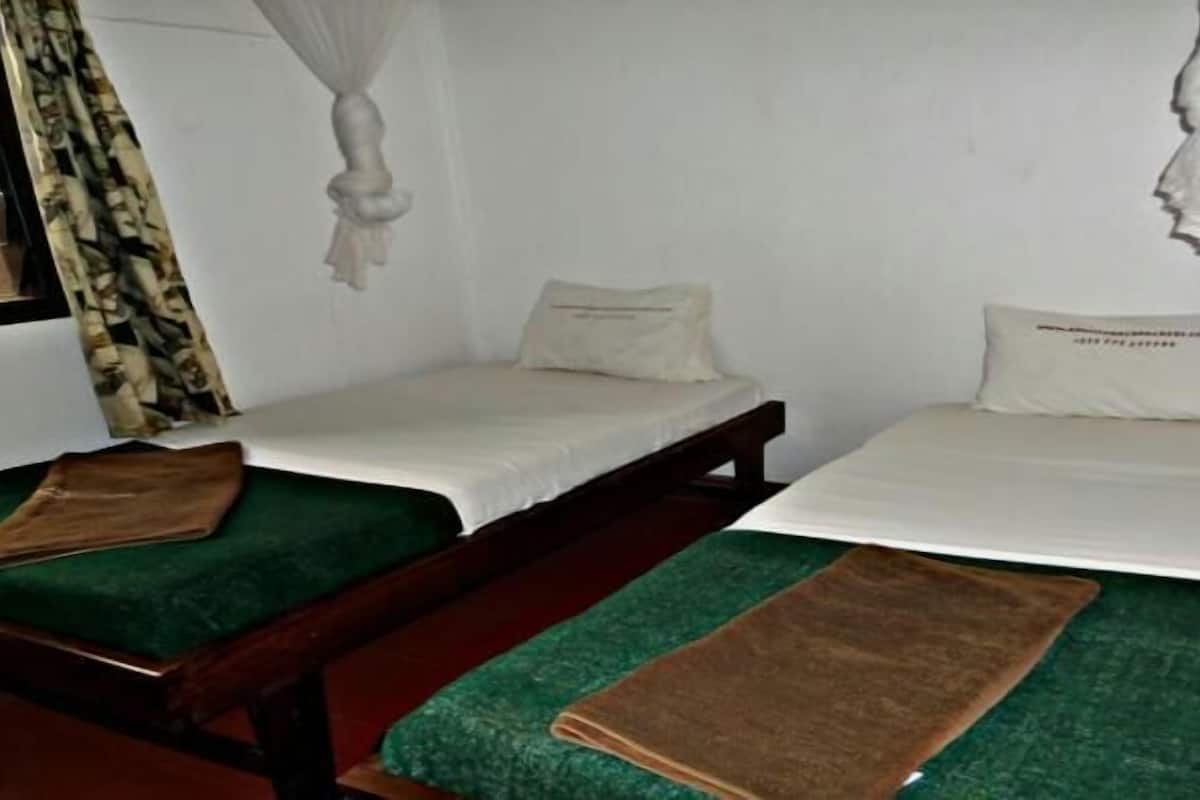 Desk, WiFi (free), bed sheets