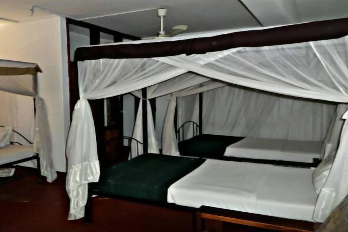 A room with two single beds, each with a canopy, a bedside table, and a lamp.