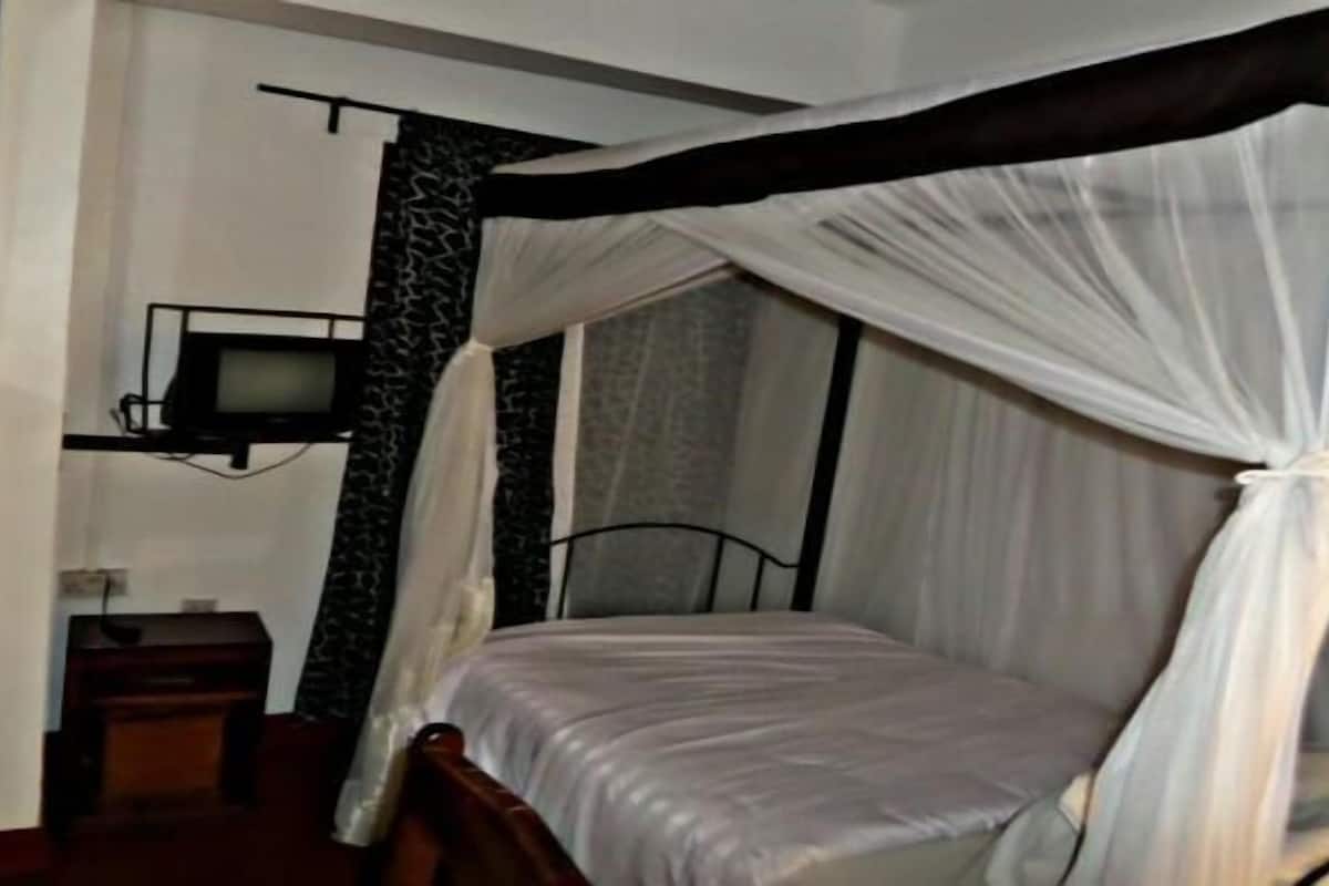 A room with a bed under a canopy, a television on a stand, and a small table.