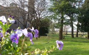 Área da propriedade