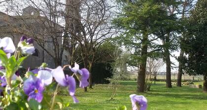 Fiori di Maggio