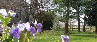 Fiori di Maggio
