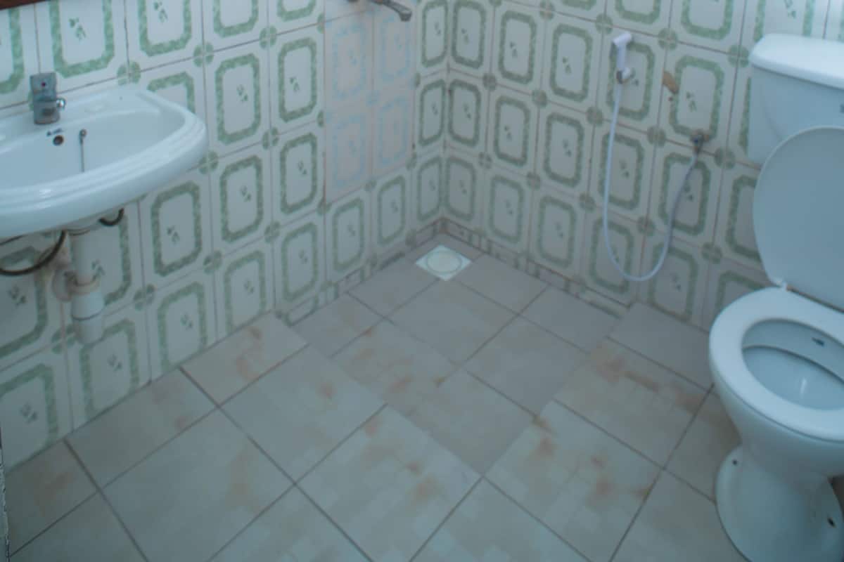 Shower, free toiletries, slippers, towels