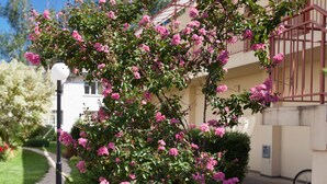 A small pink flowering tree in a planter on a wooden deck. - Central Plaza Apart Hotel (Sunny Beach)