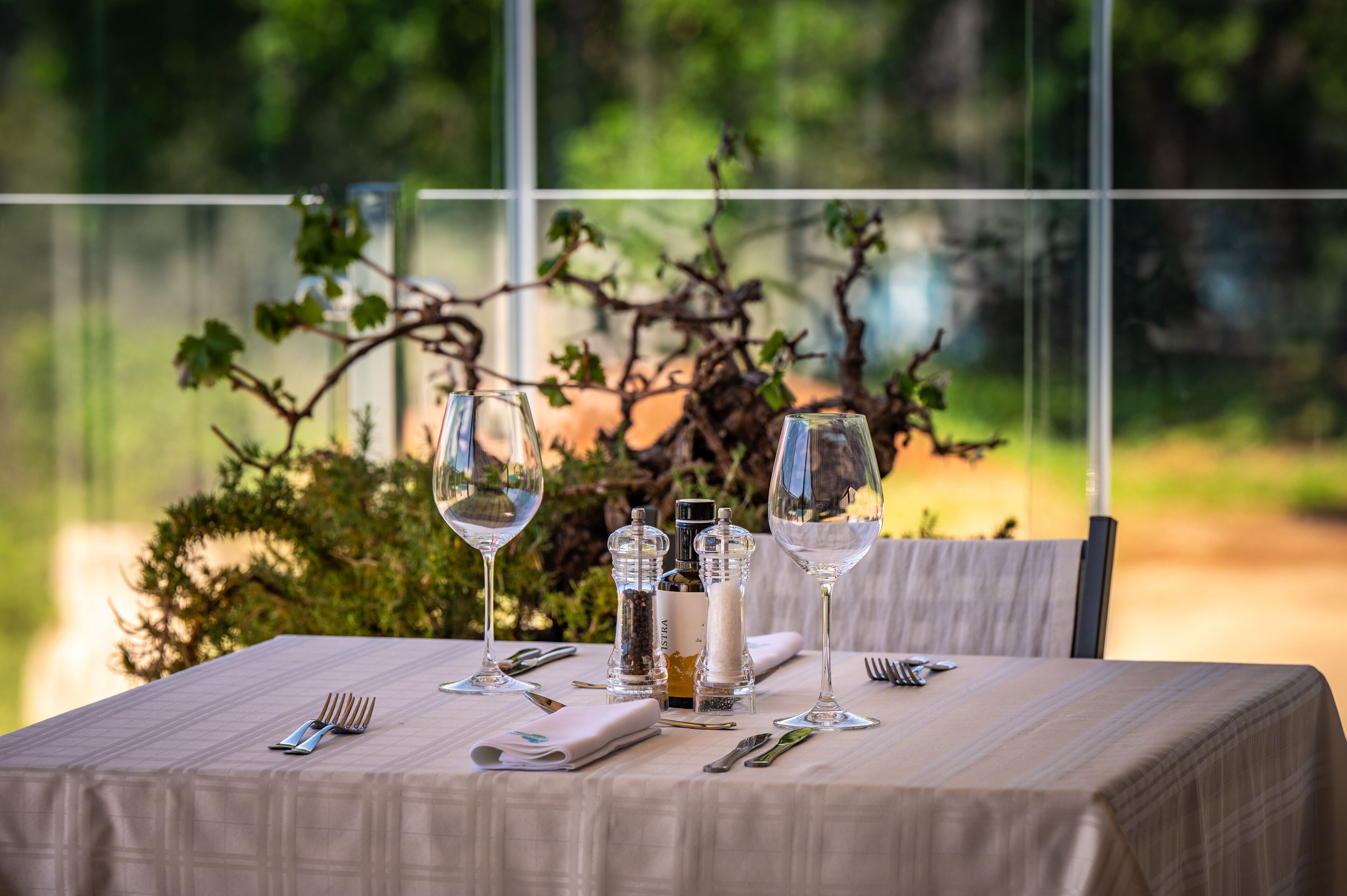 A table set for dining with wine glasses, cutlery, and condiments.