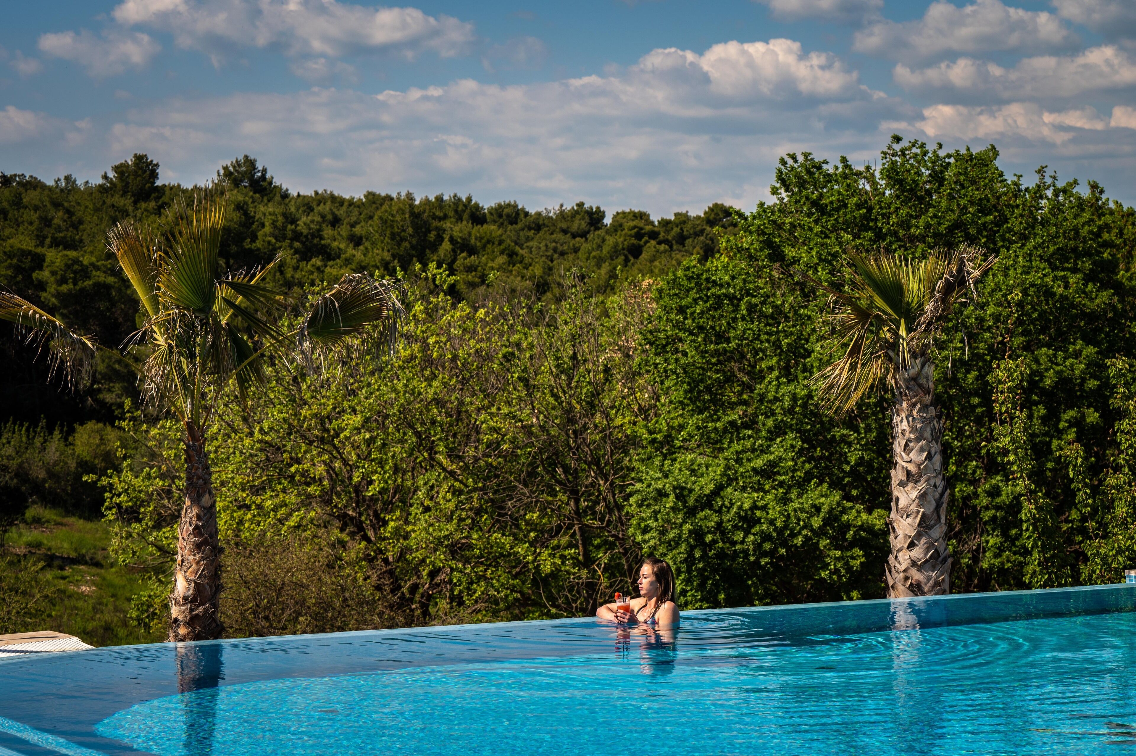 Una piscina con palmeras y un fondo arbolado.