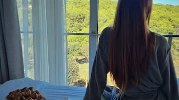 Suite, 2 Bedrooms, Balcony | Minibar, in-room safe, desk, free WiFi