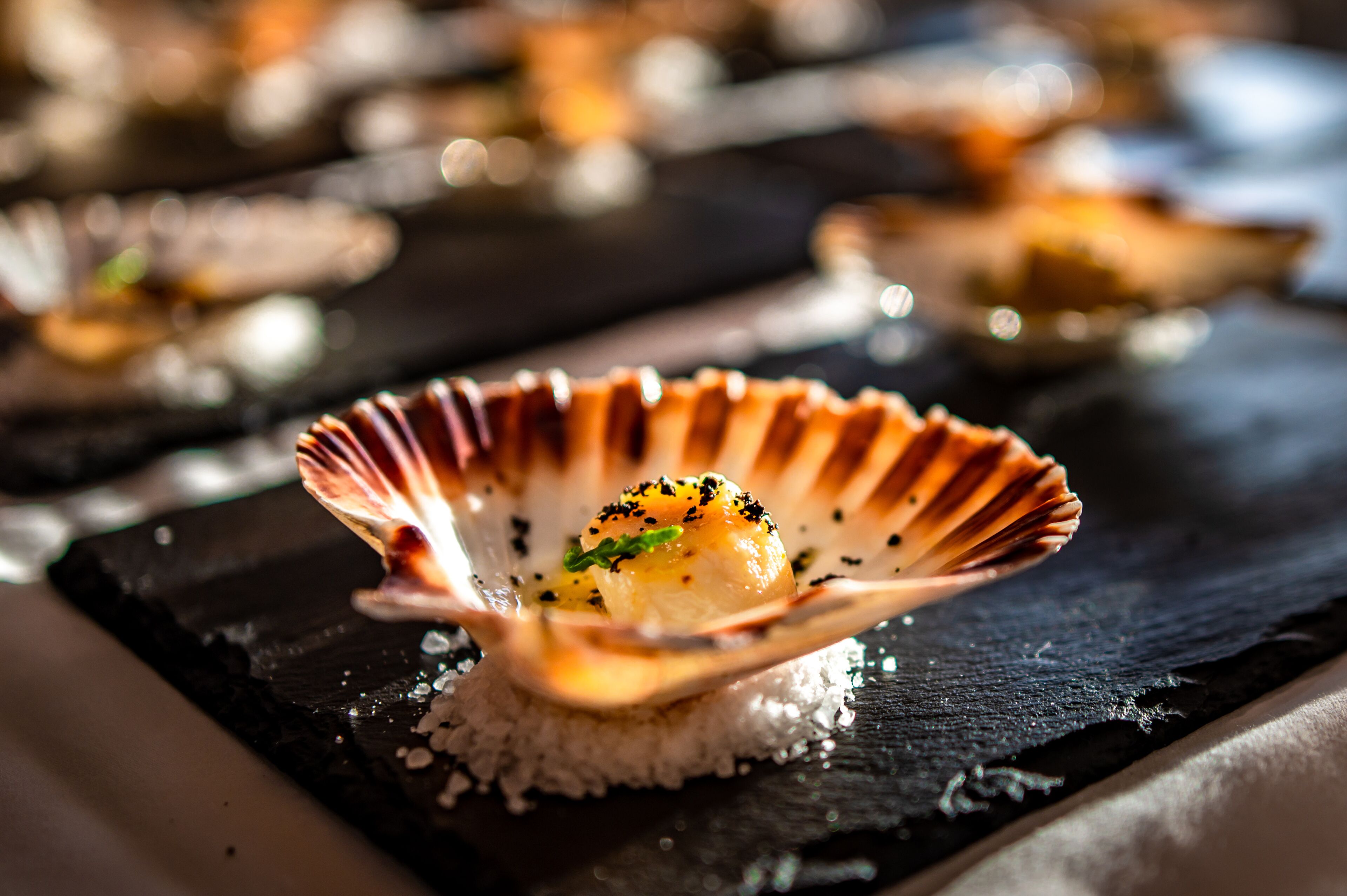 Nahaufnahme eines Scallop-Gerichts auf einem schwarzen Schieferteller.