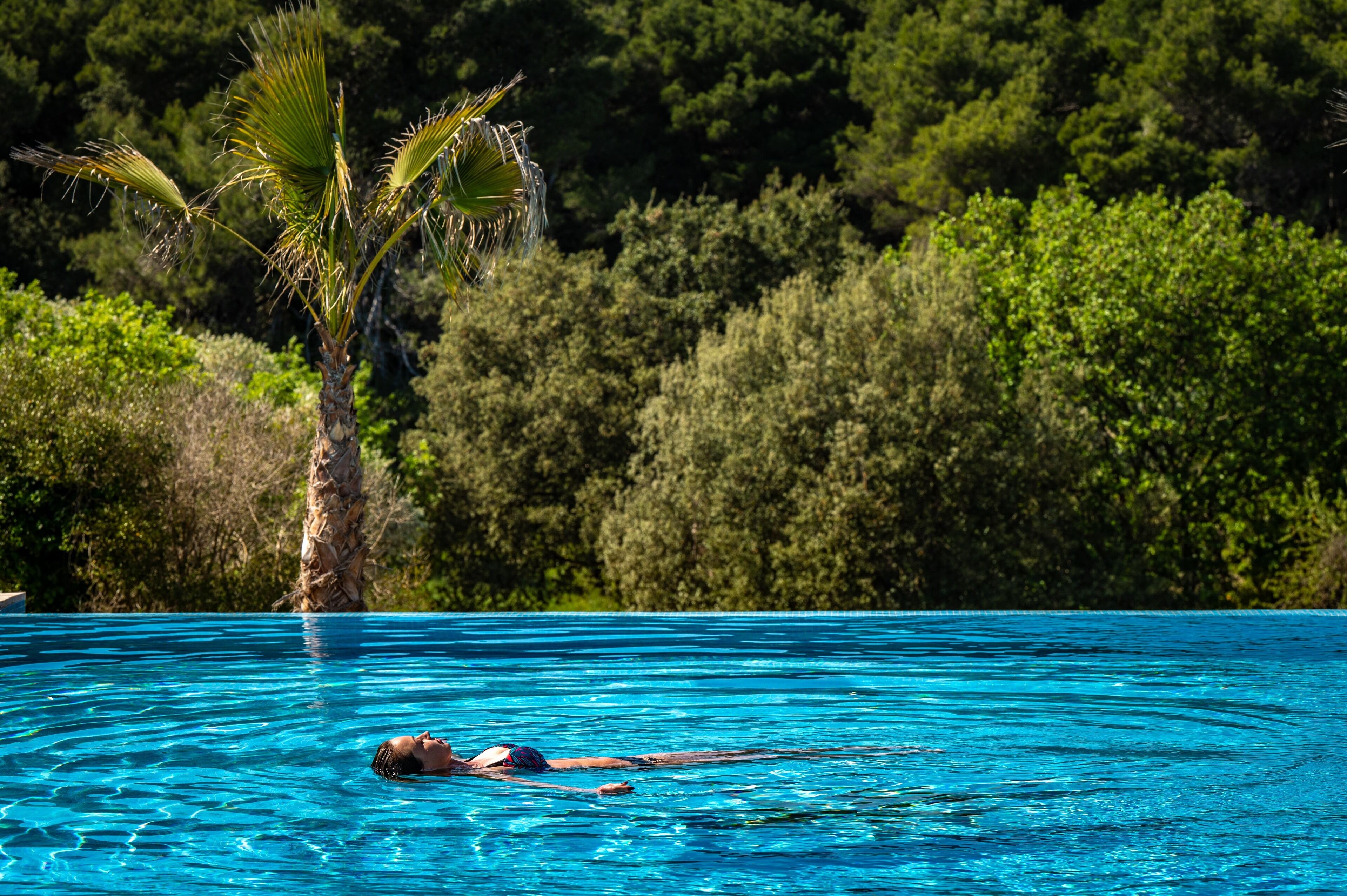 Une personne nage dans une piscine à l’eau claire et bleue, avec un palmier et une végétation luxuriante en arrière-plan.