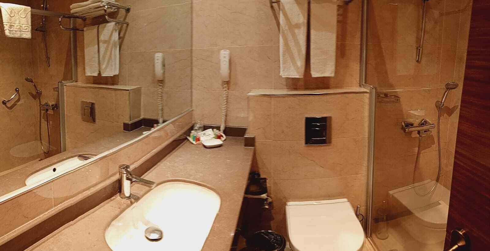 standard double room, 1 double bed | bathroom | shower, free toiletries, hair dryer, bathrobes