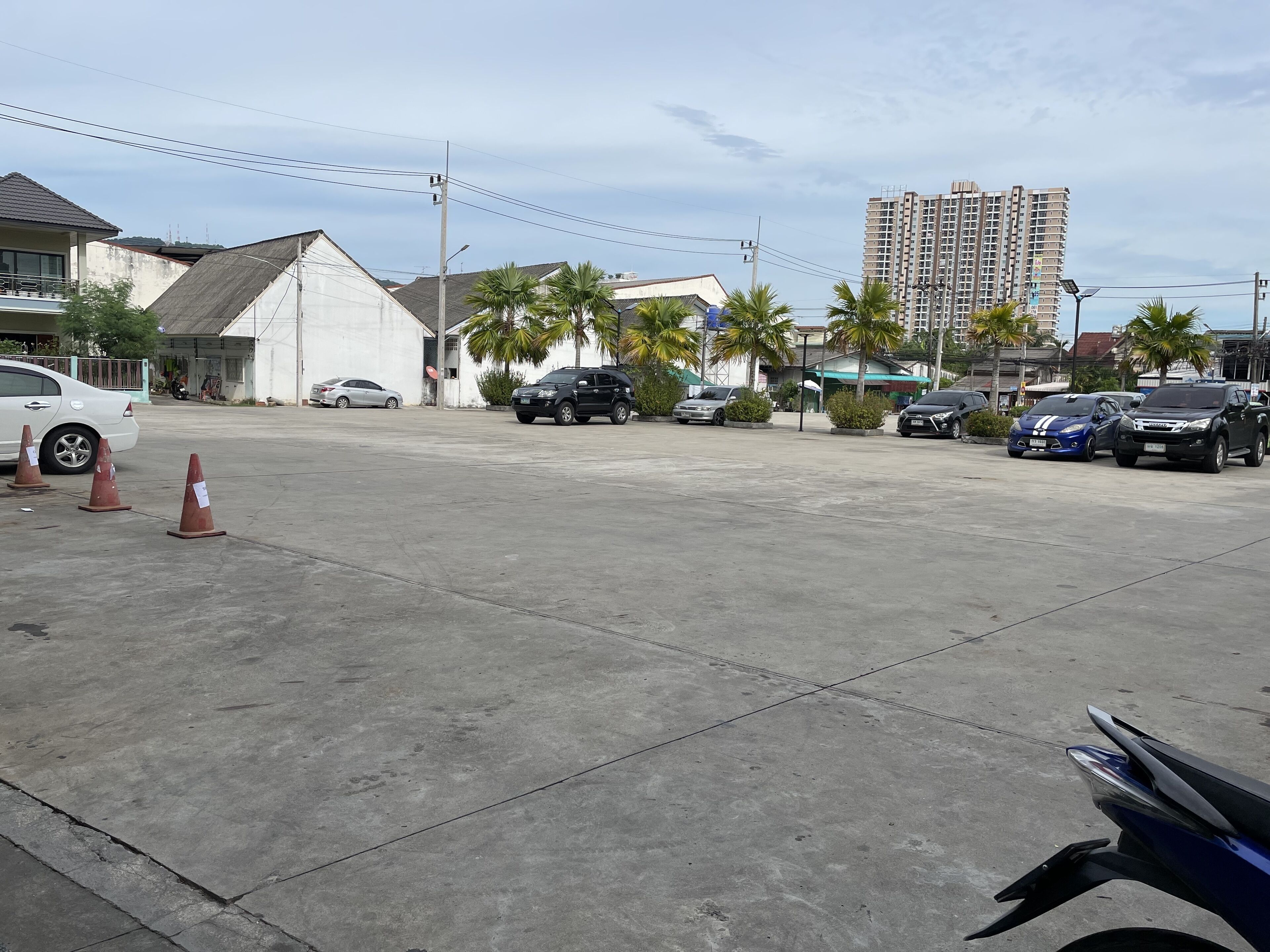 A parking lot with several cars and a few palm trees.