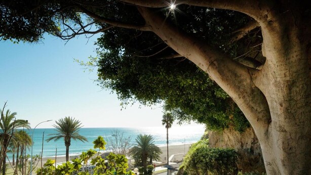 Escales que condueixen a una platja amb palmeres i una vista de l'oceà.