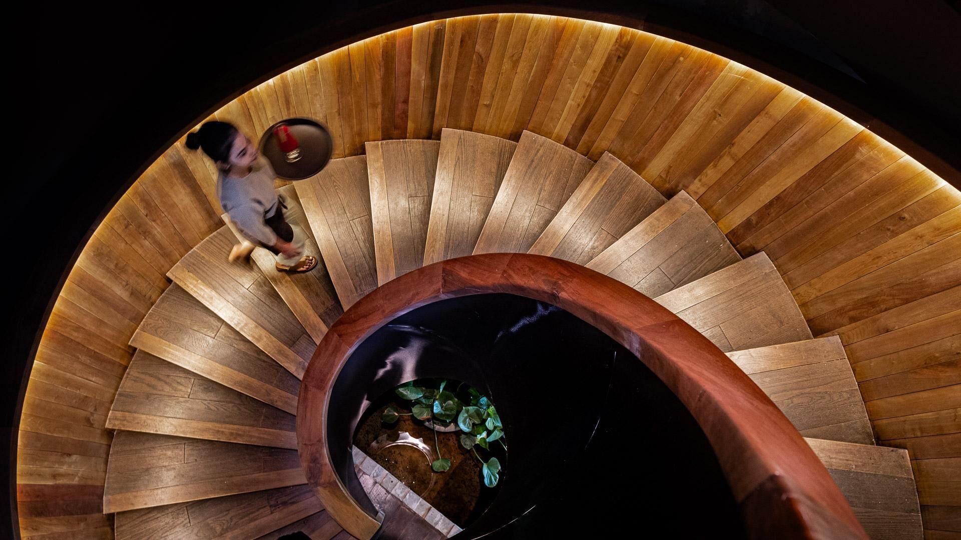 Una escalera de caracol con escalones de madera y un área circular central con una planta.