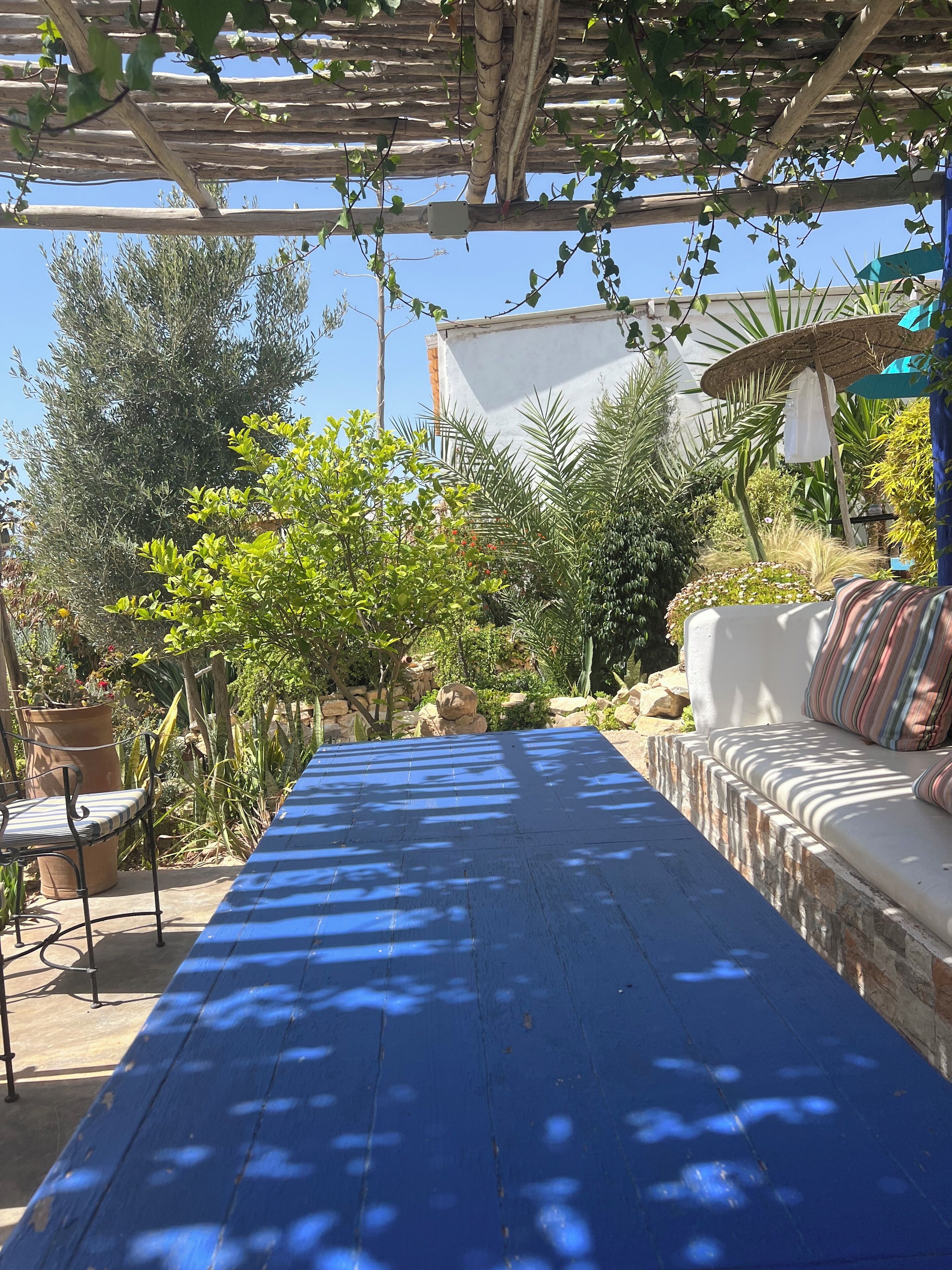 Un espacio de patio cubierto con una mesa azul, un sofá blanco y una pérgola con plantas trepadoras.