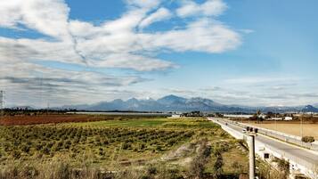 Standard Twin Room | View from room