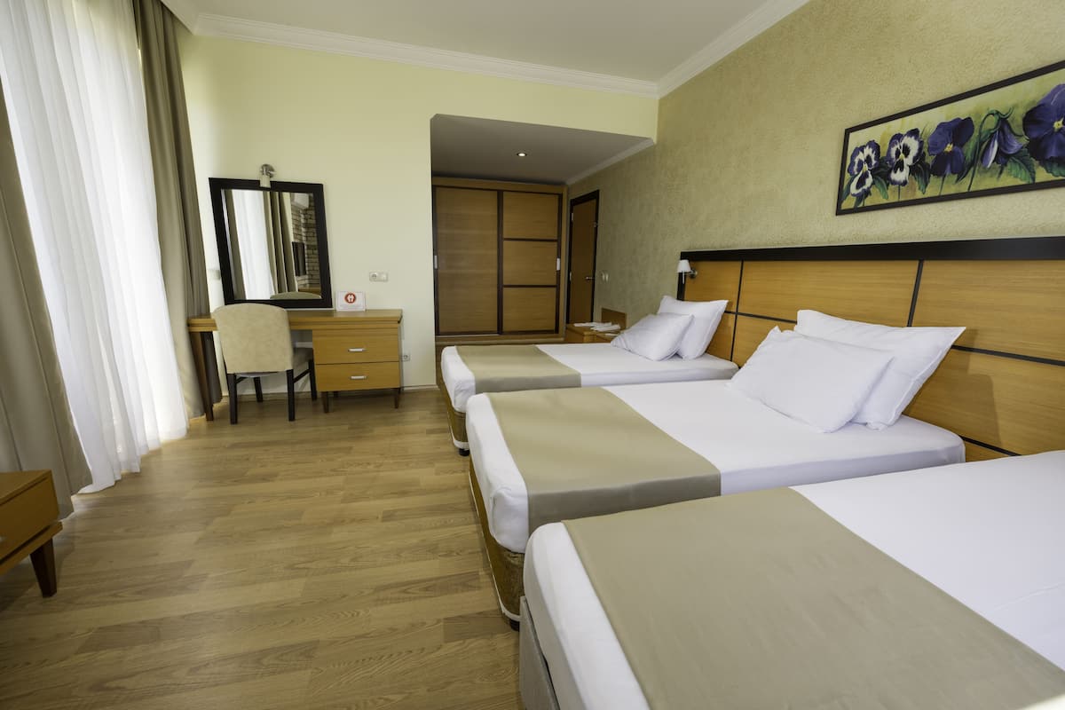 Standaard driepersoonskamer, uitzicht op rivier | Luxe beddengoed, een minibar met enkele gratis items