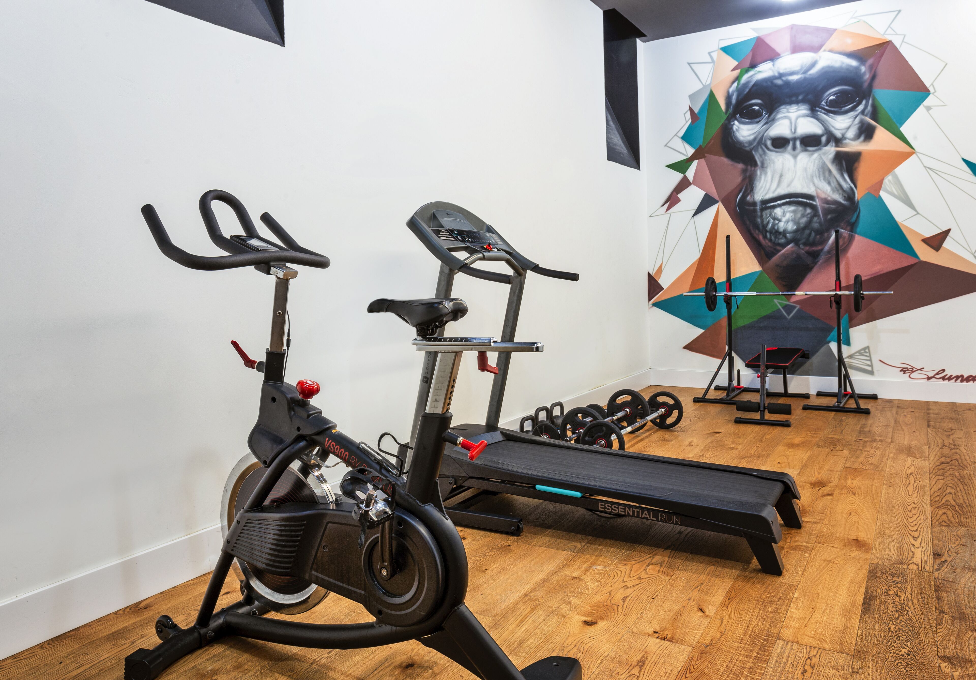 Foto - One Shot Tabakalera House