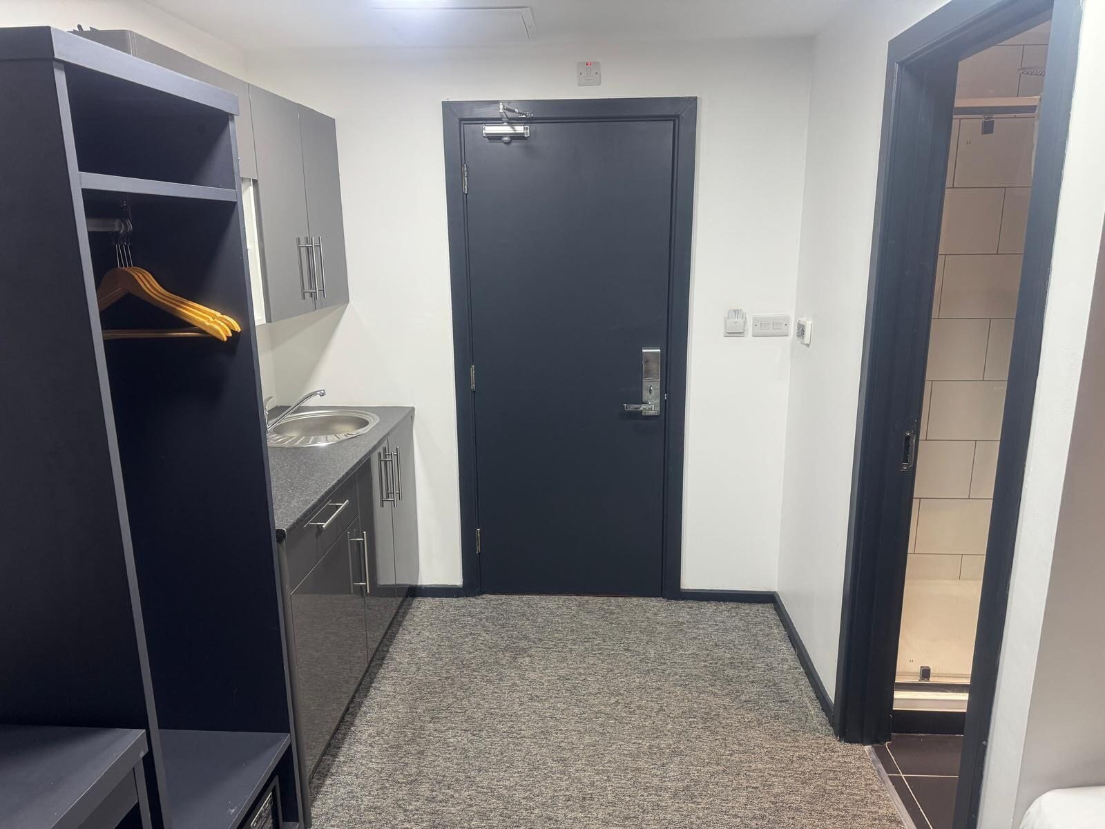 A compact room with a dark door, a small sink, and a wardrobe with a hanging rack.