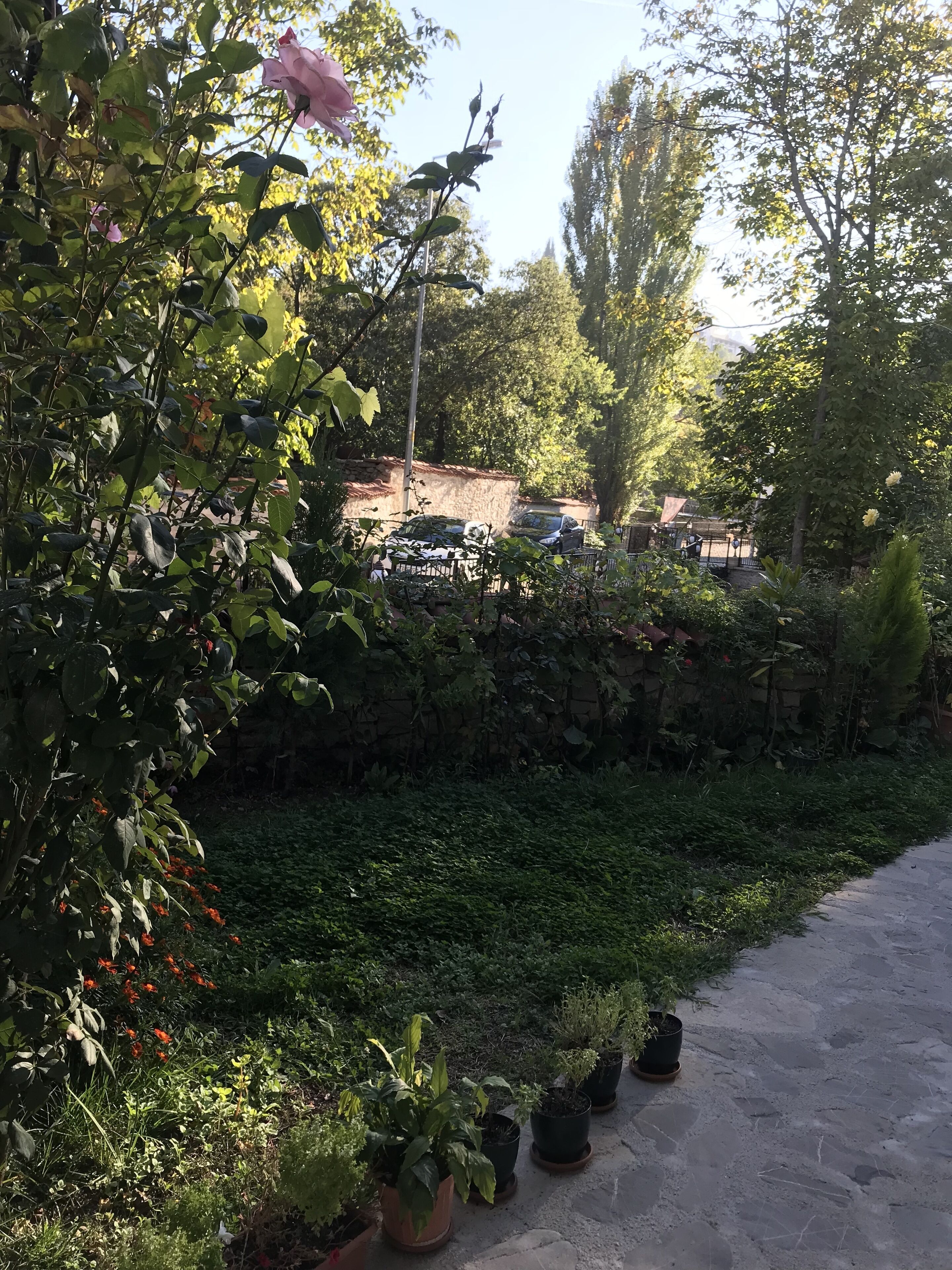 A garden with potted plants and a stone wall.