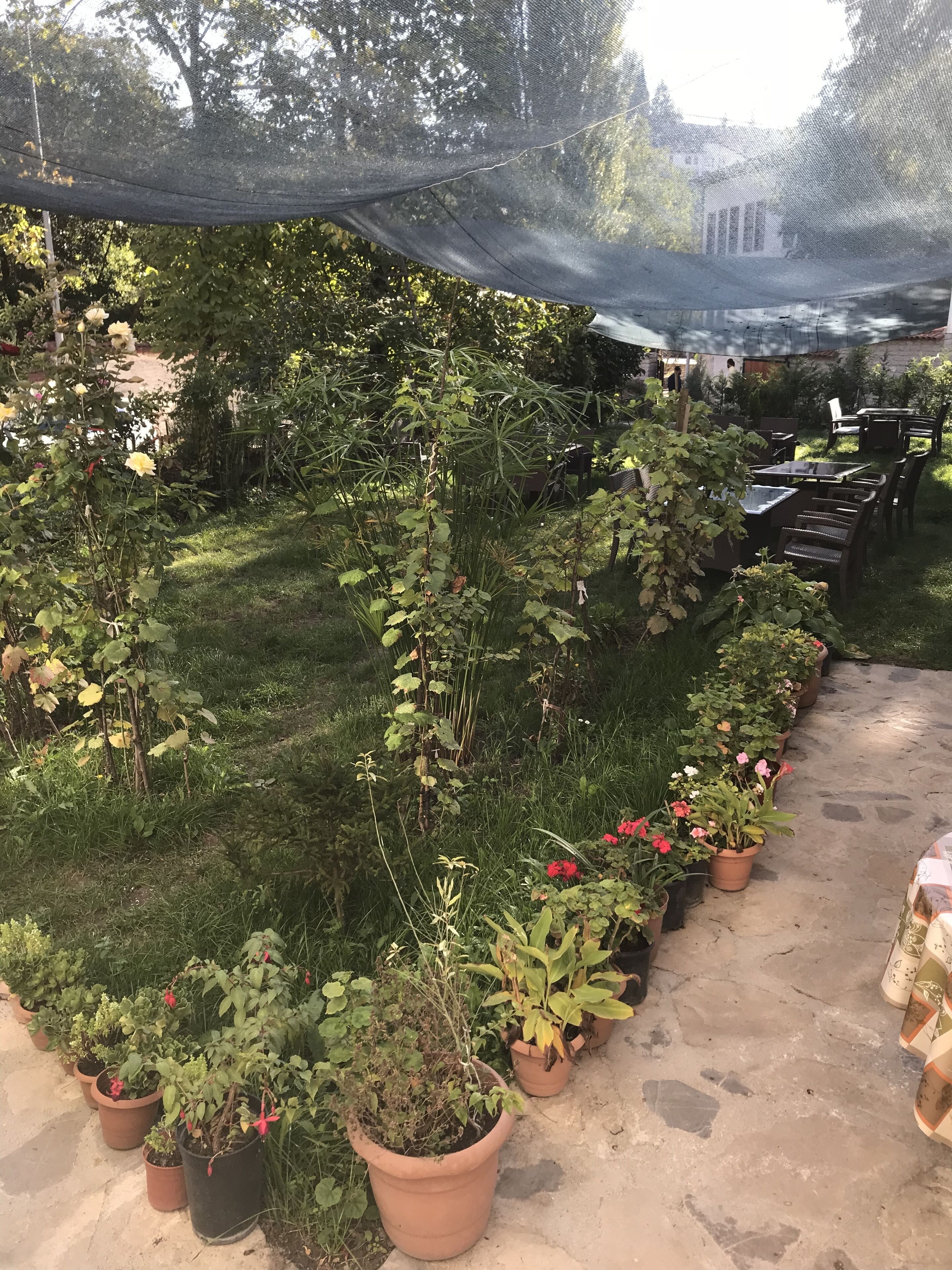 Un espace jardin aménagé avec des plantes en pot et des sièges d’extérieur.
