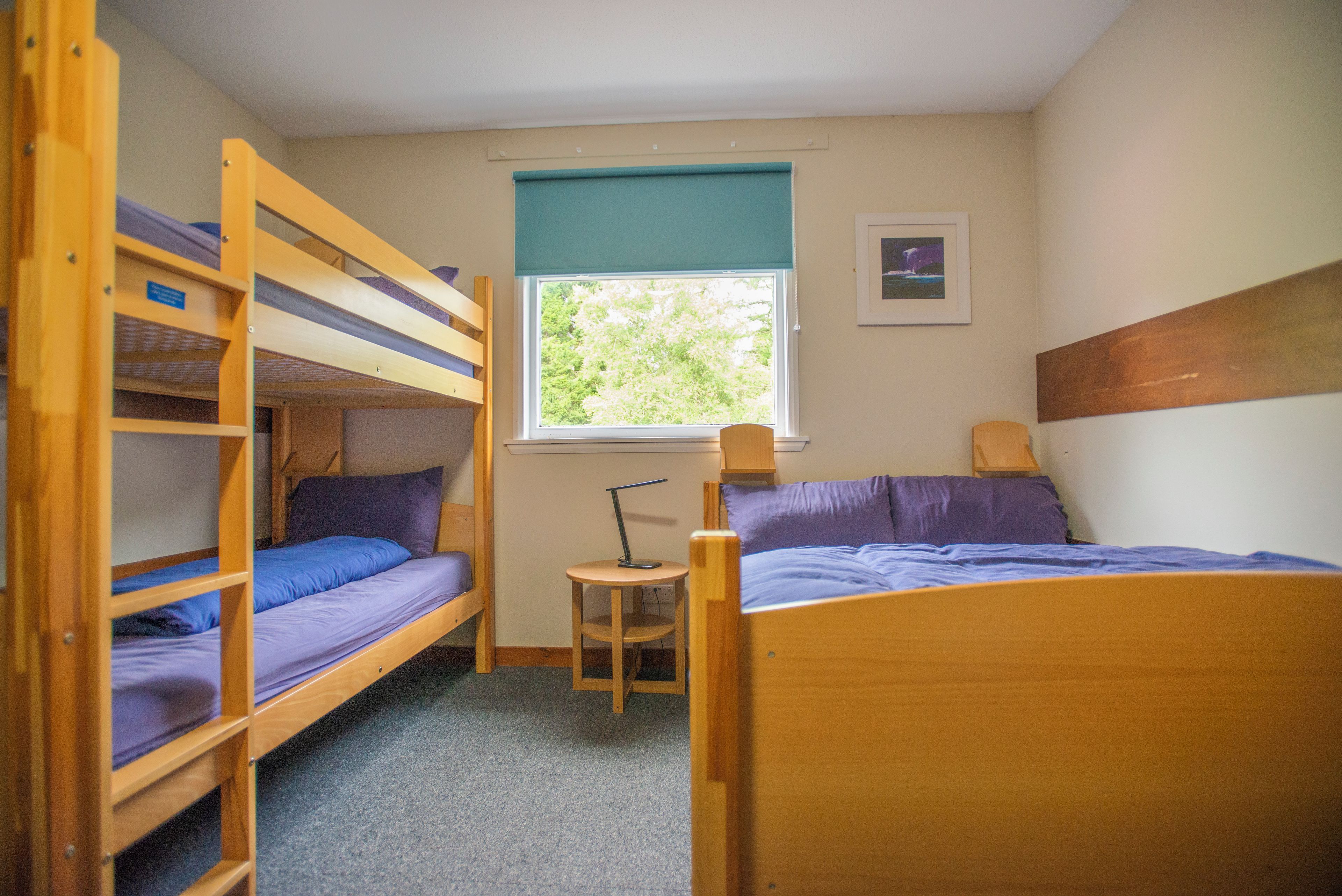 A dormitory room with bunk beds, a small desk, a window with a view of trees, and a framed picture on the wall.