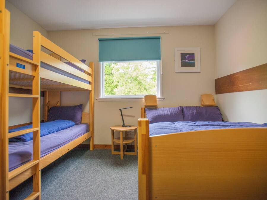 A dormitory room with bunk beds, a small desk, a window with a view of trees, and a framed picture on the wall.