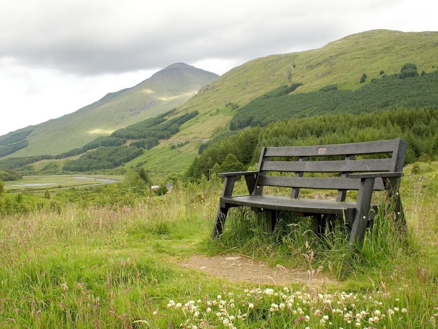 Overnatningsstedets område