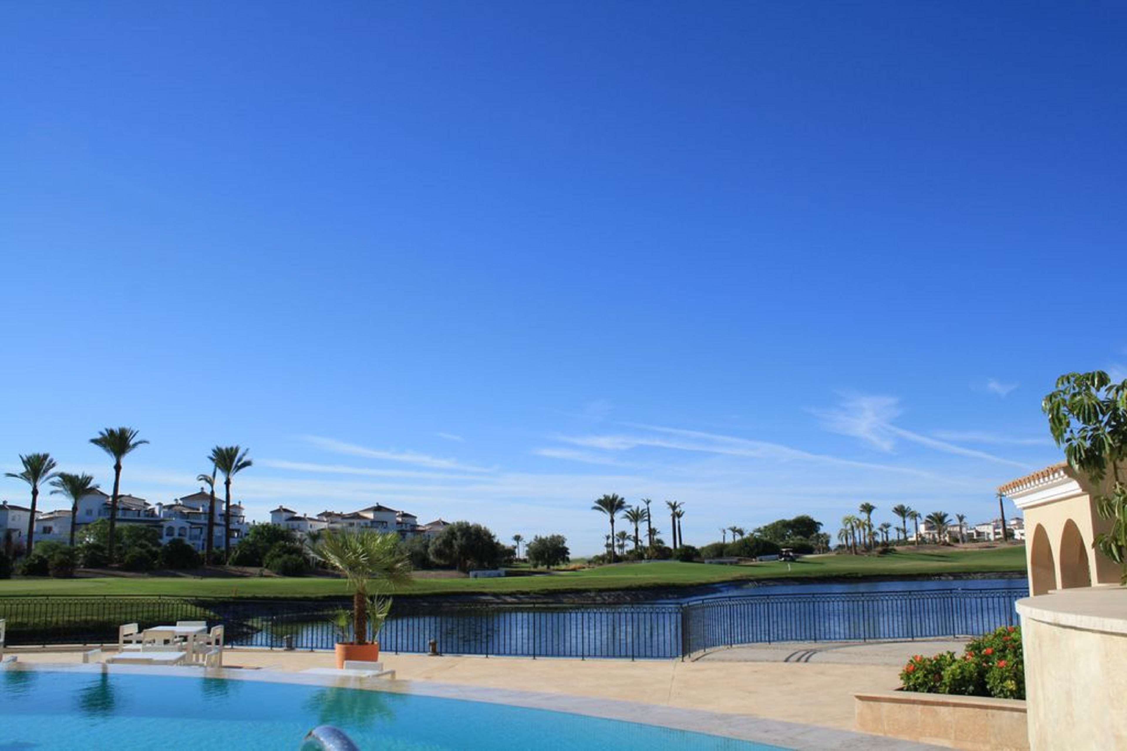 Un área de piscina con cielo azul despejado, palmeras y un campo de golf al fondo.