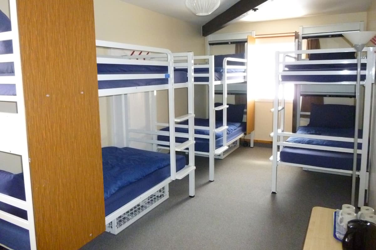 A dormitory room with bunk beds, a wooden partition, a desk with a chair, and a lamp.
