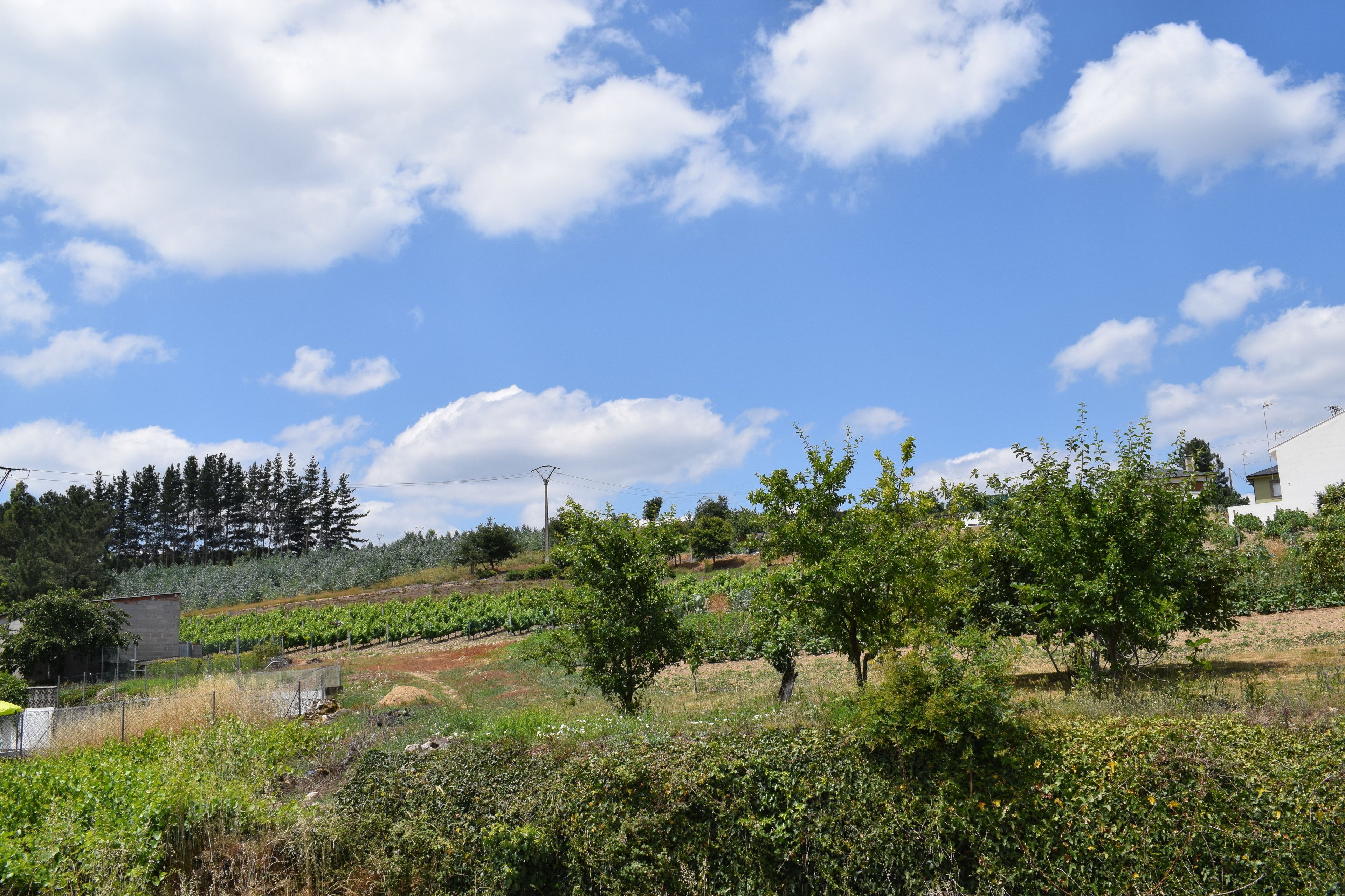 apartment, 3 bedrooms (superior) | view from room
