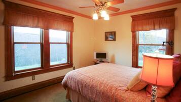 A bedroom with a bed, a ceiling fan, a television, and a lamp.