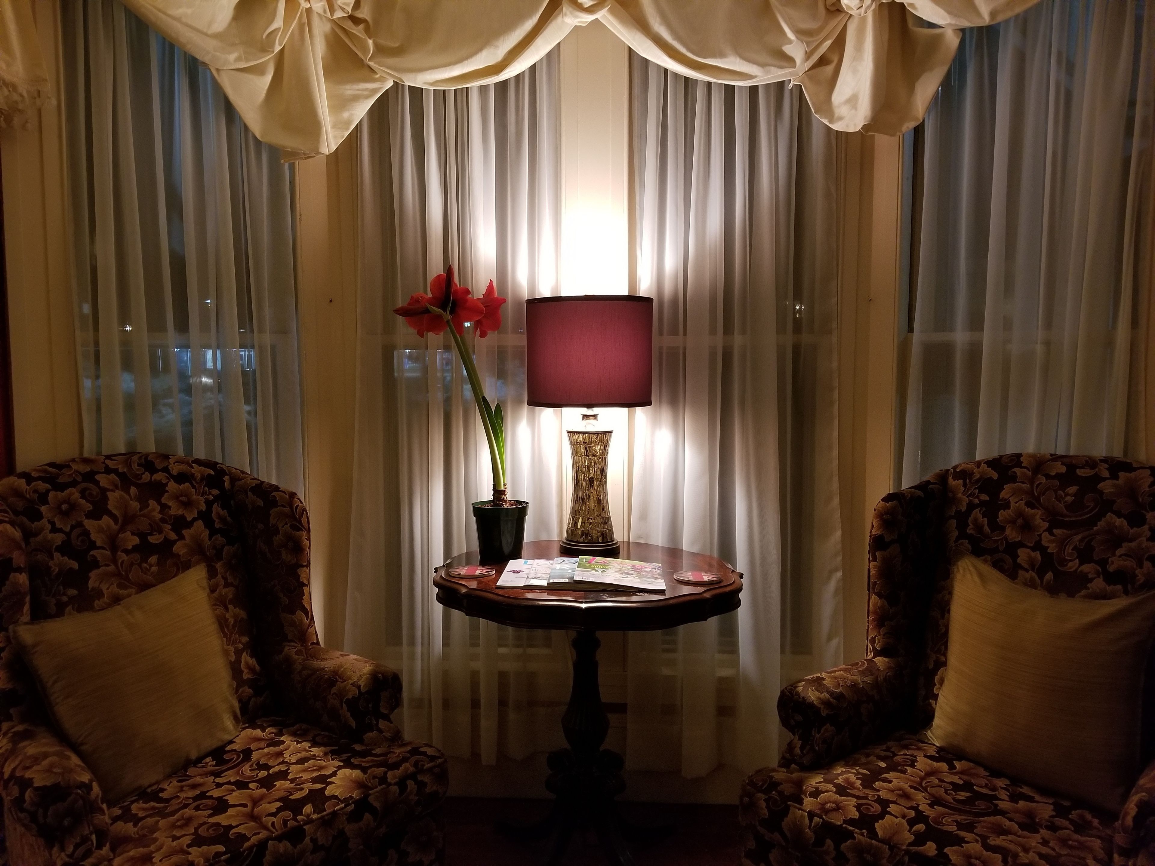 Quarto com duas poltronas, uma mesa com abajur e uma planta em vaso.