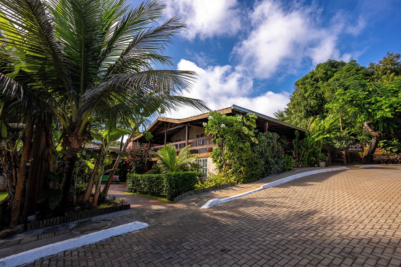 A hotel with a paved driveway, surrounded by lush greenery and palm trees.