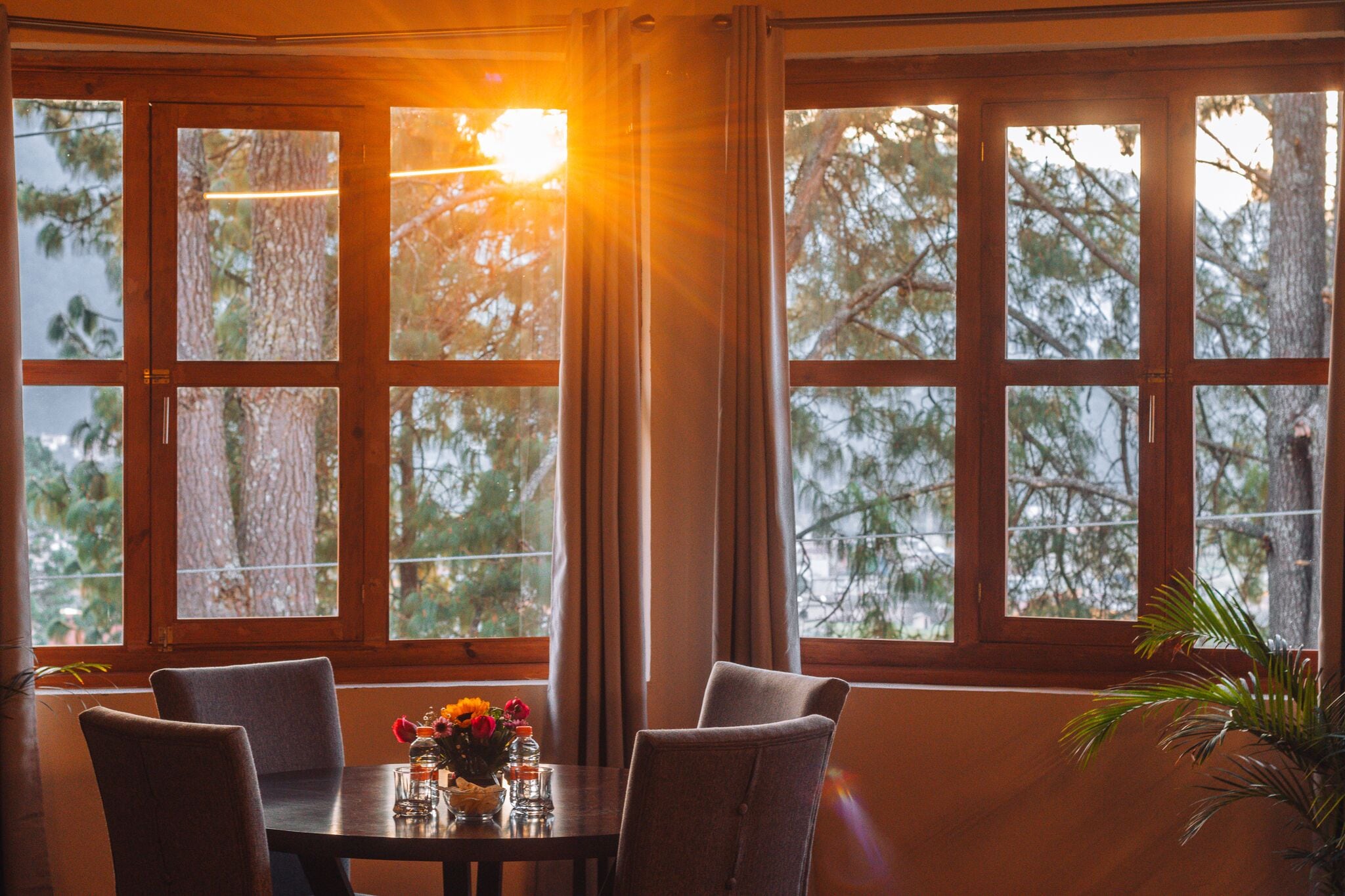 7 間臥室、隔音、熨斗/熨衣板、床單