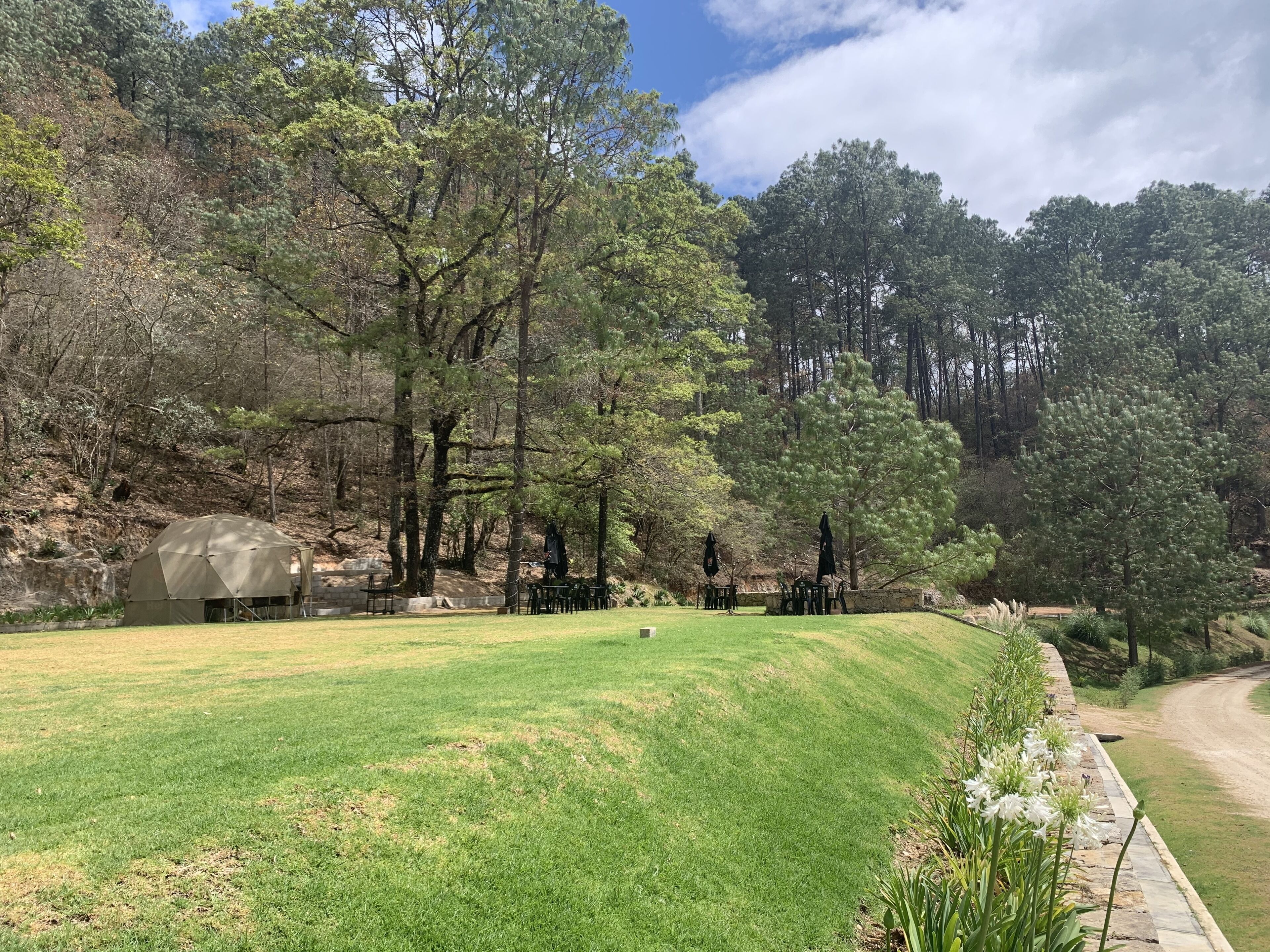 Foto - CORTIJO LA CASONA & Bungalow al Pie de la Montaña
