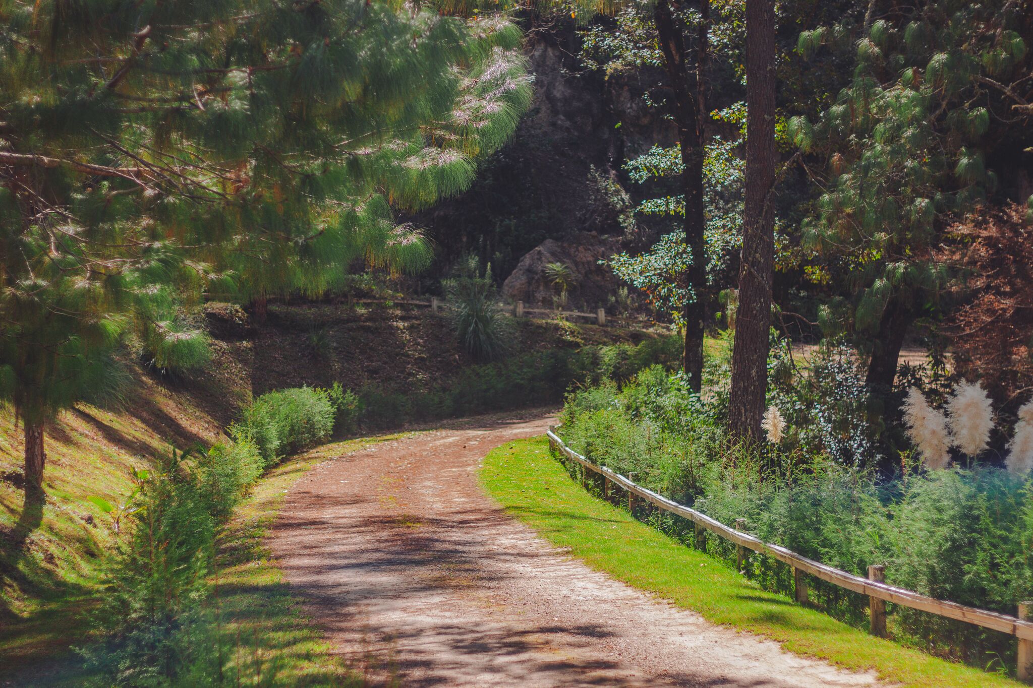 Foto - CORTIJO LA CASONA & Bungalow al Pie de la Montaña