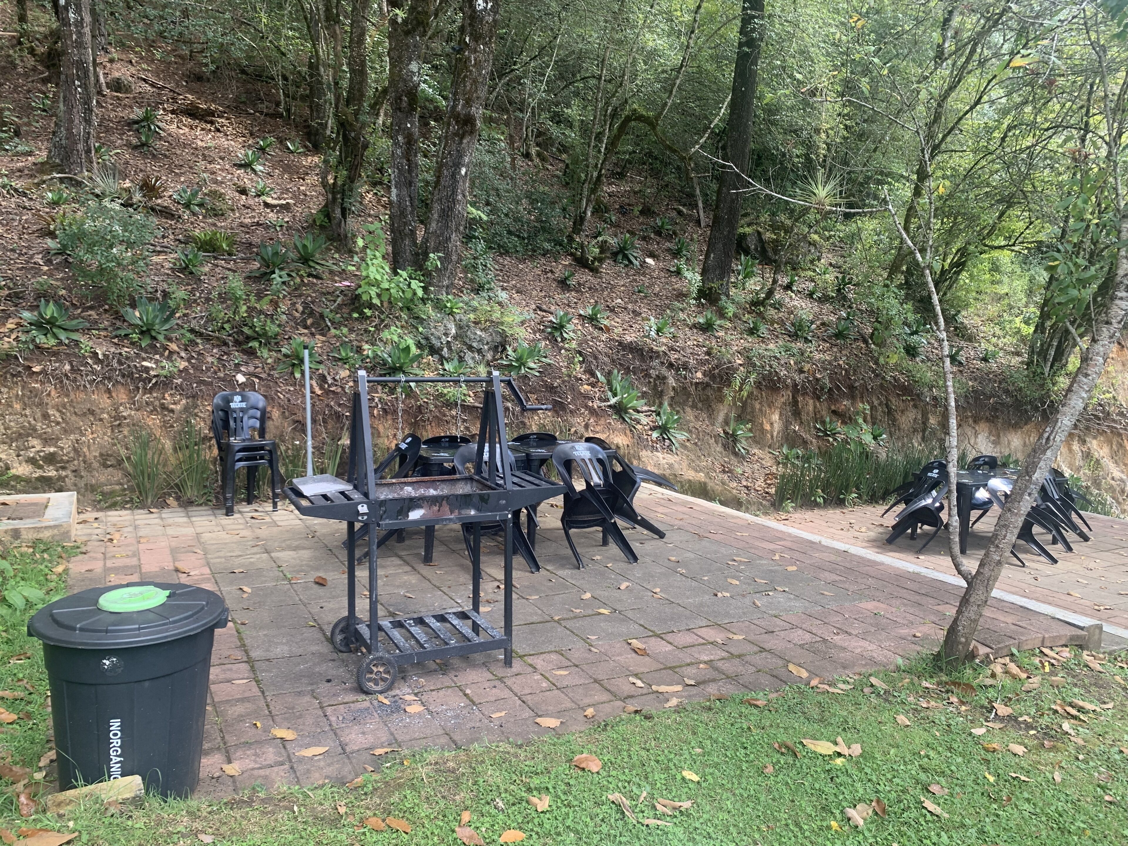 Foto - CORTIJO LA CASONA & Bungalow al Pie de la Montaña