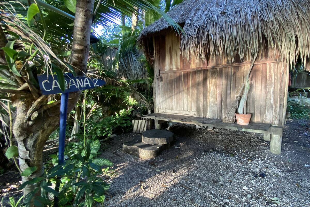 Private Cabin with shared bathroom, with vegan breakfast only | Free WiFi