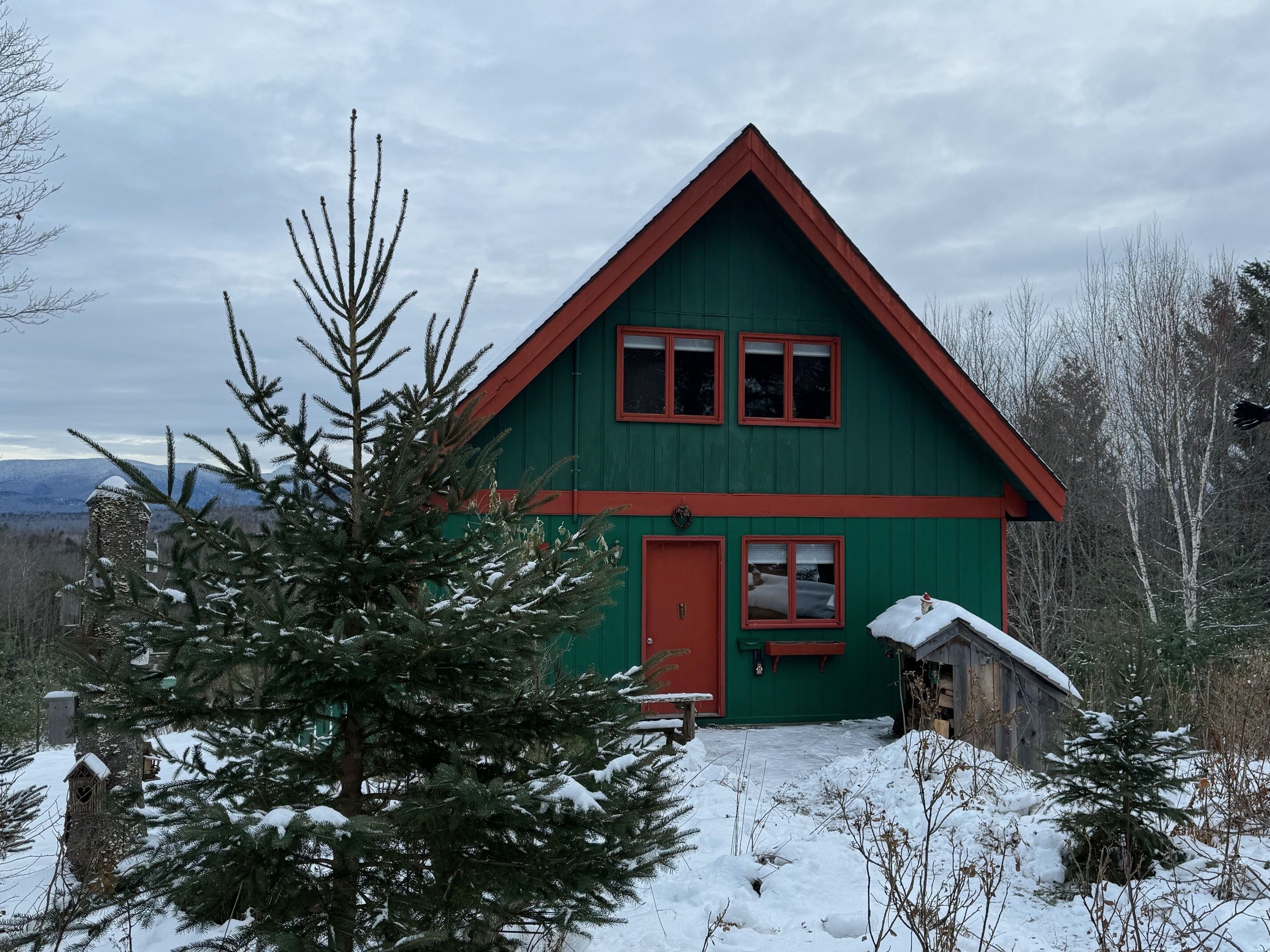 A green house with a red roof and two windows, surrounded by snow-covered trees and a snowy landscape.