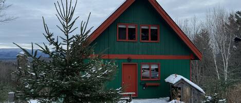 A green house with a red roof and two windows, surrounded by snow-covered trees and a snowy landscape.