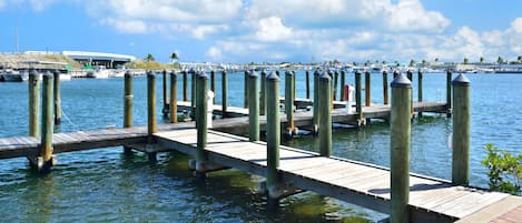 Marina