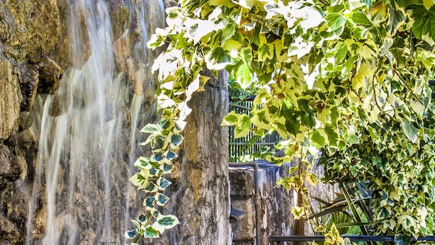 A waterfall cascading over rocks into a pond with lily pads, surrounded by greenery. - Private 4-Bedroom villa, large pool, amazing gardens, relaxing family vacations (Chania)