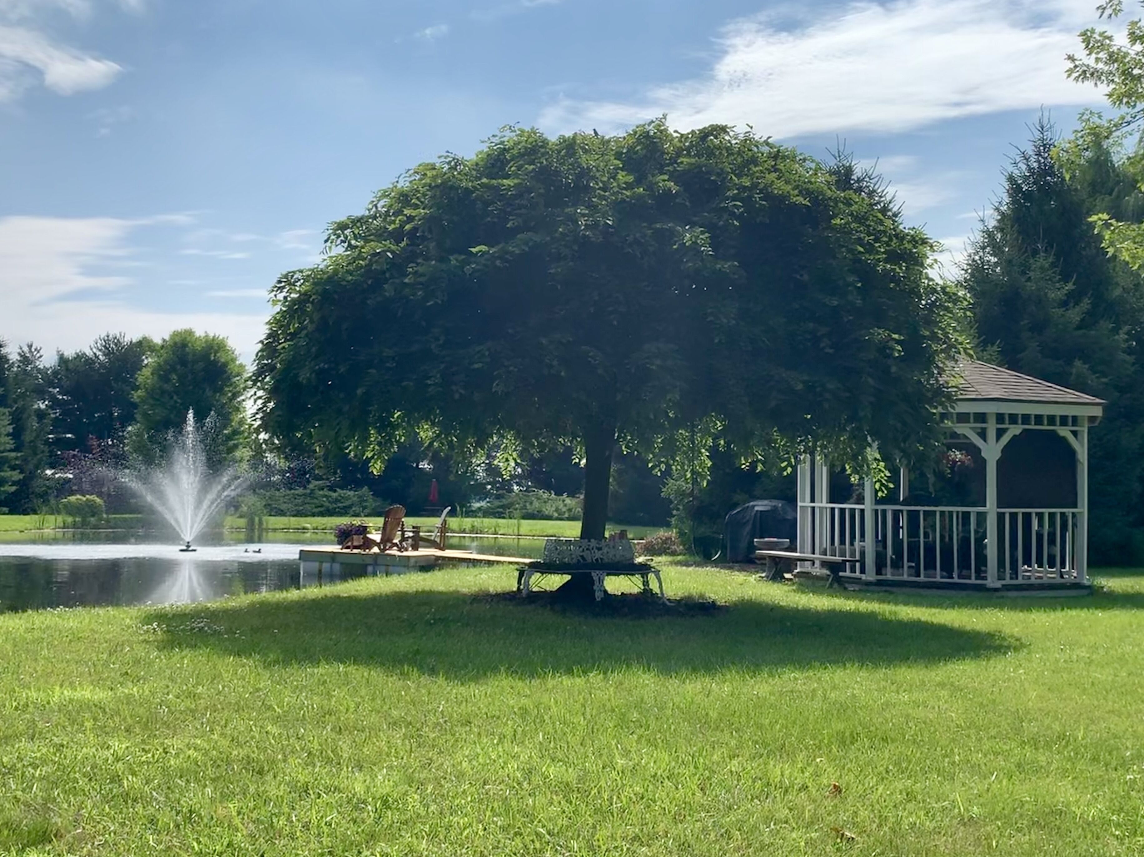 Terrain de l’hébergement 