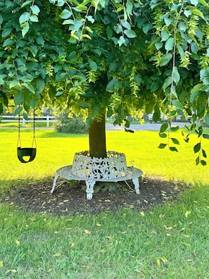 Terrein van de accommodatie