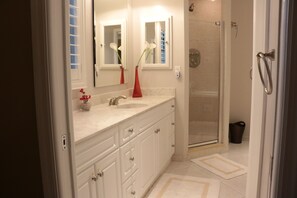 Combined shower/tub, hair dryer, bidet, towels - Home away from Home? Paradise in the Sun? Why not call it both! HEATED Pool ! (Tarpon Springs)