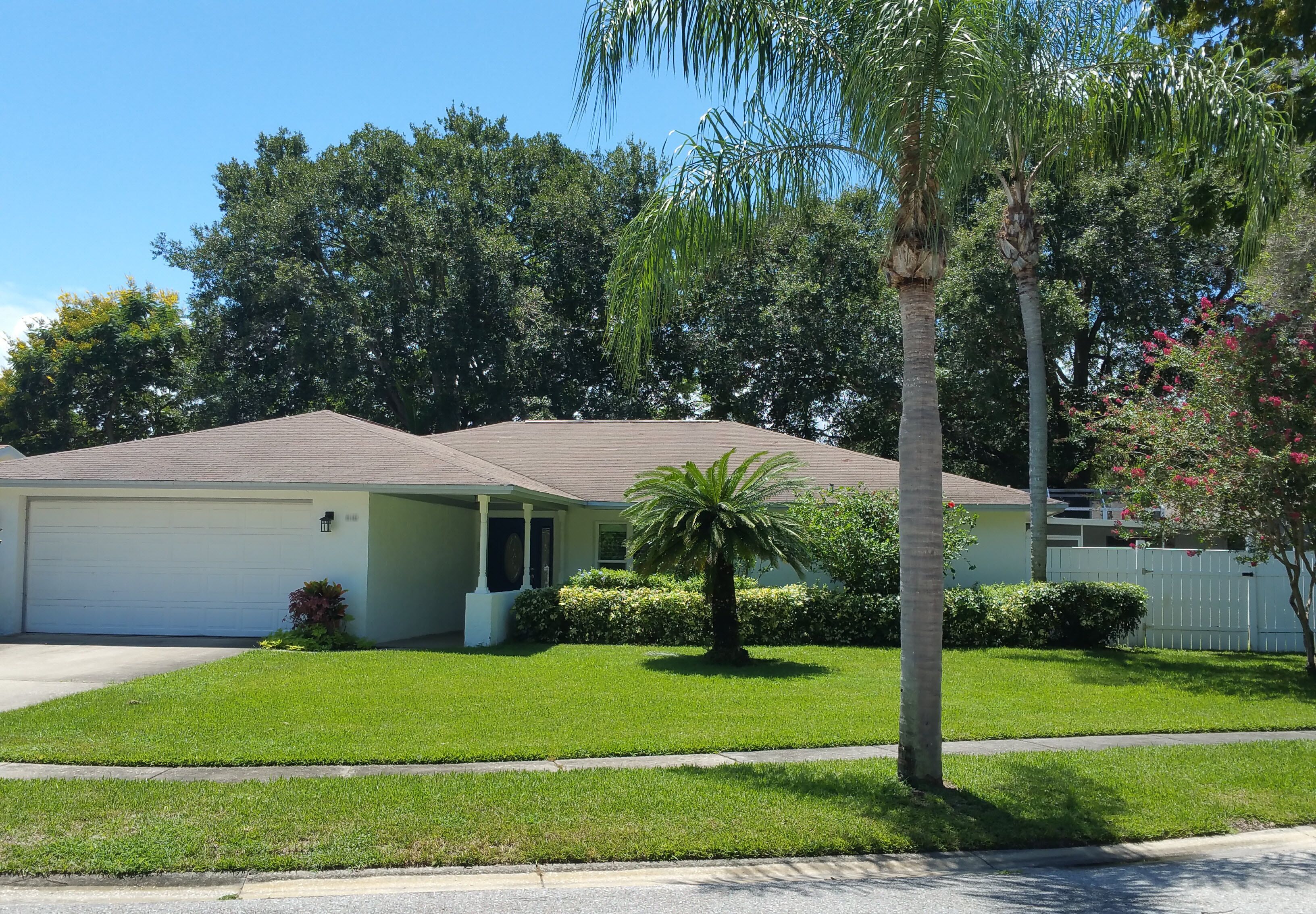 A single-story house with a garage, a well-maintained lawn, and a palm tree.